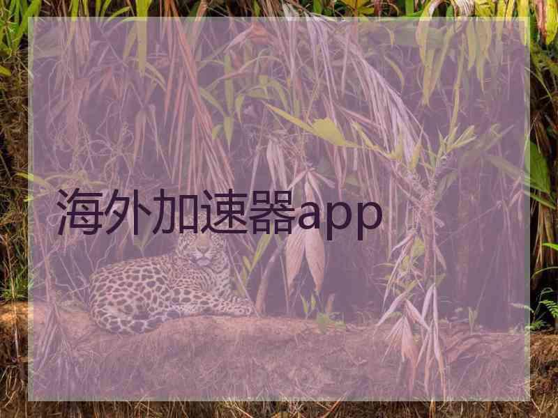 海外加速器app 海外加速器app