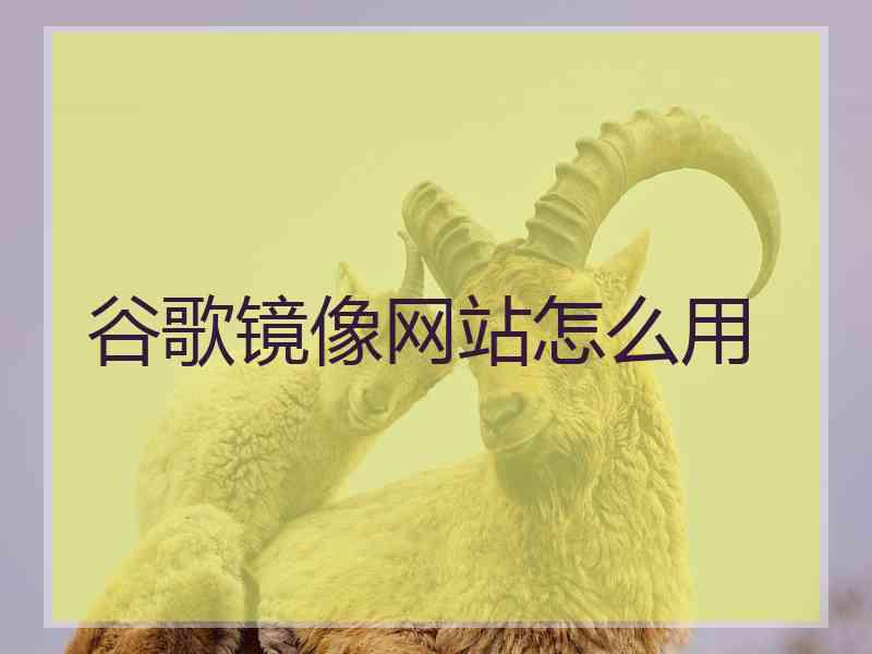 谷歌镜像网站怎么用