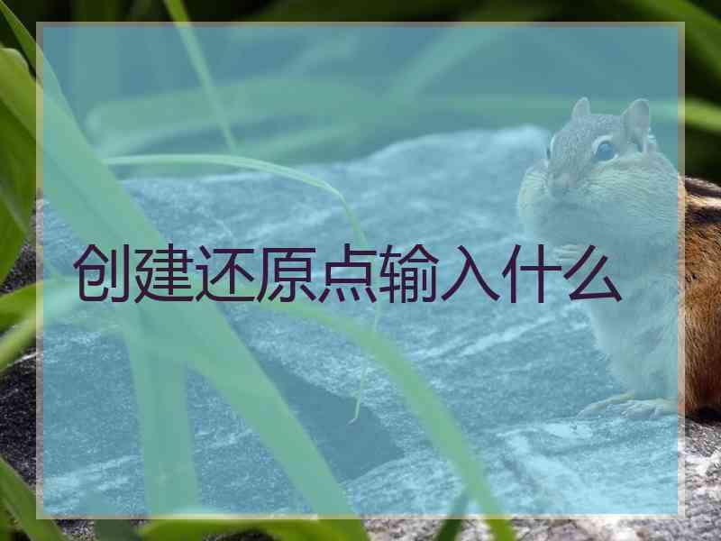创建还原点输入什么