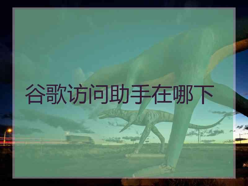 谷歌访问助手在哪下