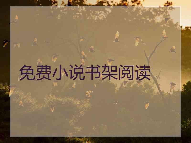 免费小说书架阅读
