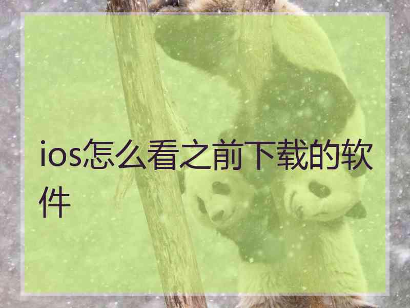 ios怎么看之前下载的软件
