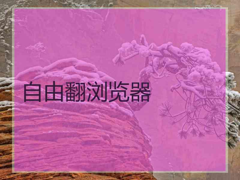 自由翻浏览器