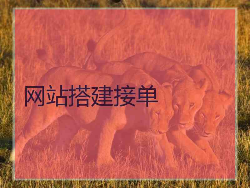 网站搭建接单
