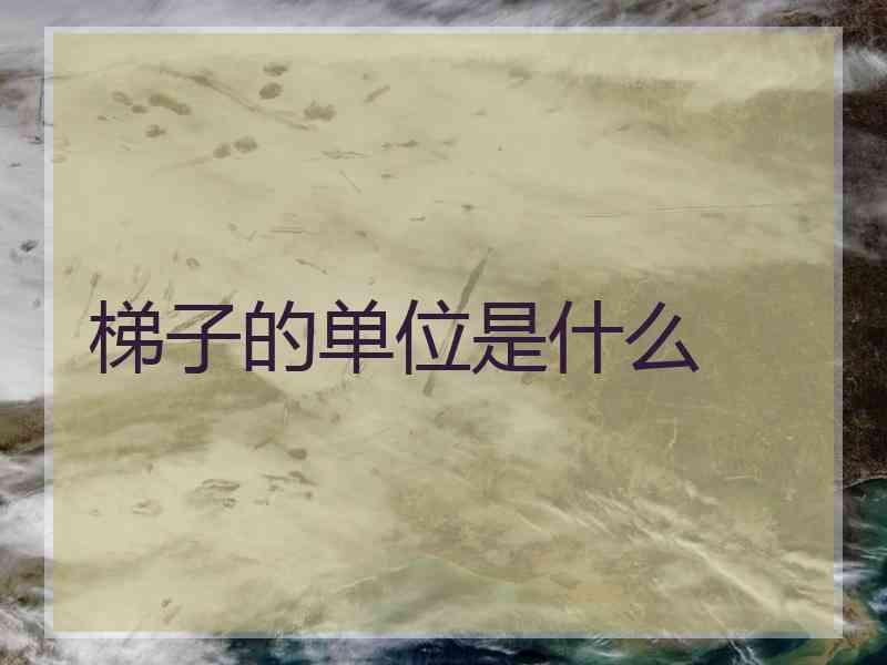 梯子的单位是什么