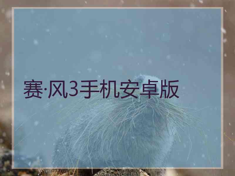 赛·风3手机安卓版