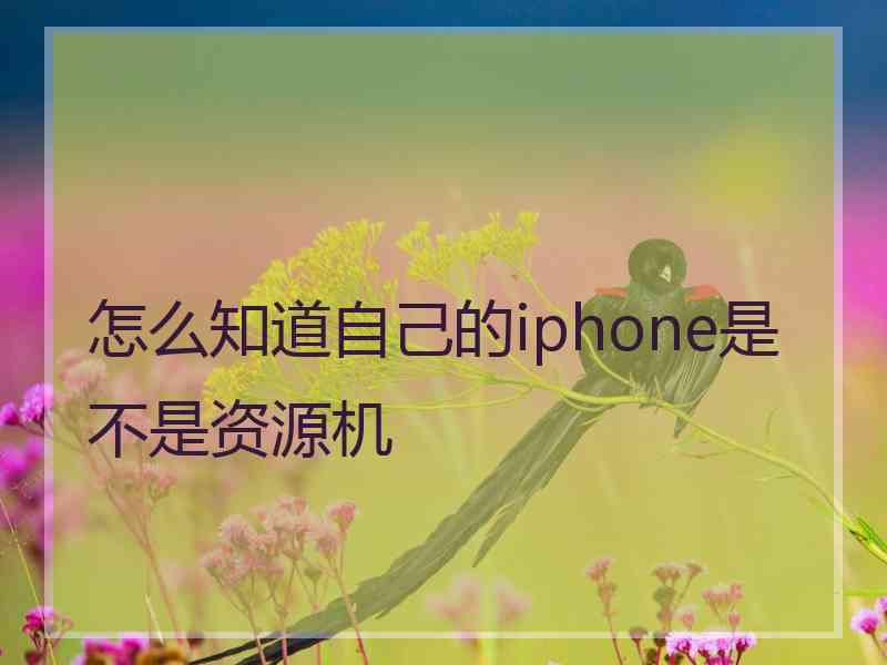怎么知道自己的iphone是不是资源机