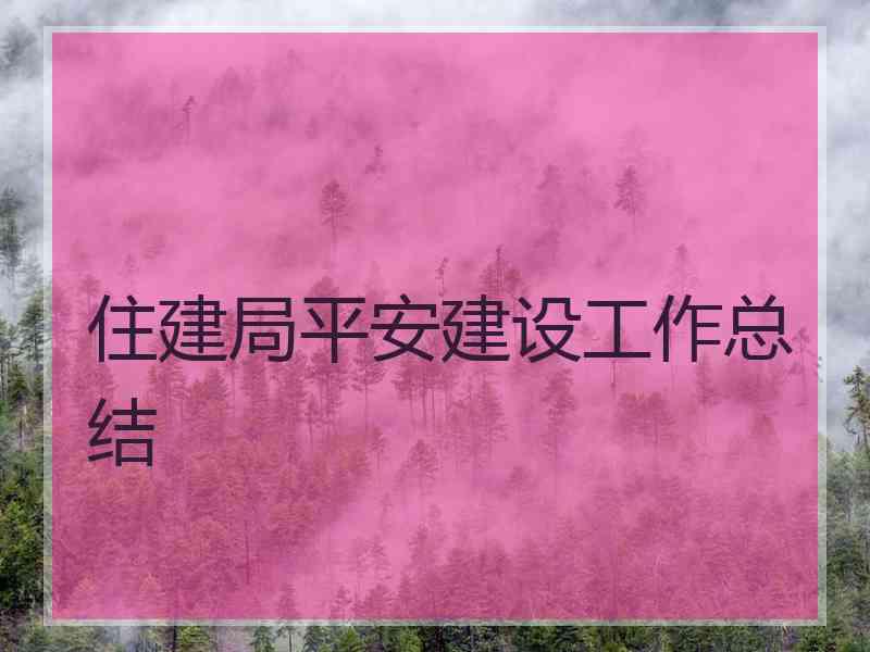 住建局平安建设工作总结