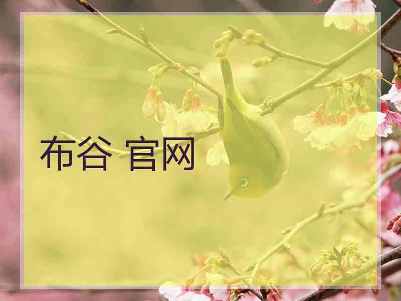 布谷 官网