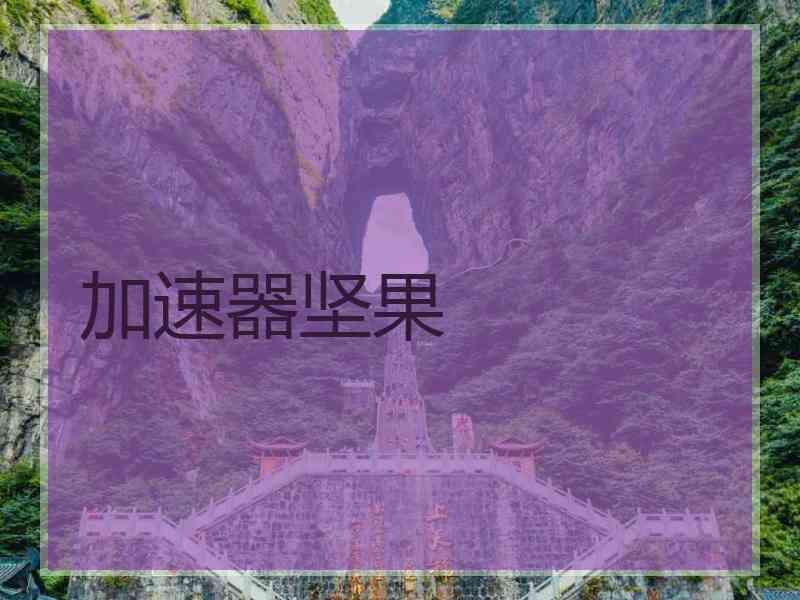 加速器坚果