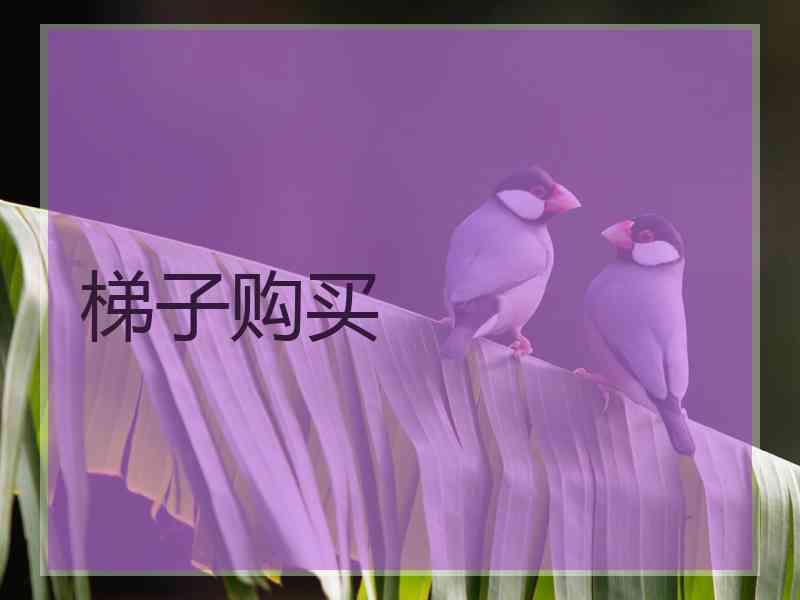 梯子购买