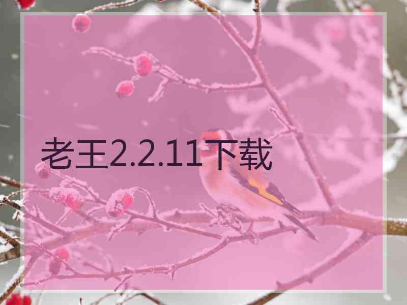 老王2.2.11下载