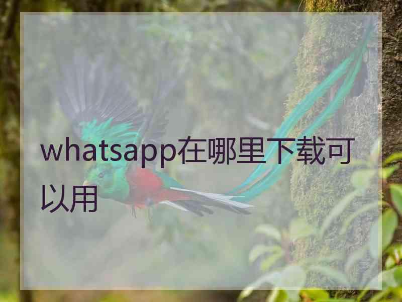 whatsapp在哪里下载可以用