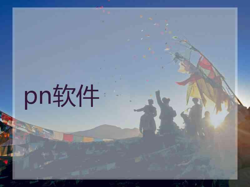 pn软件