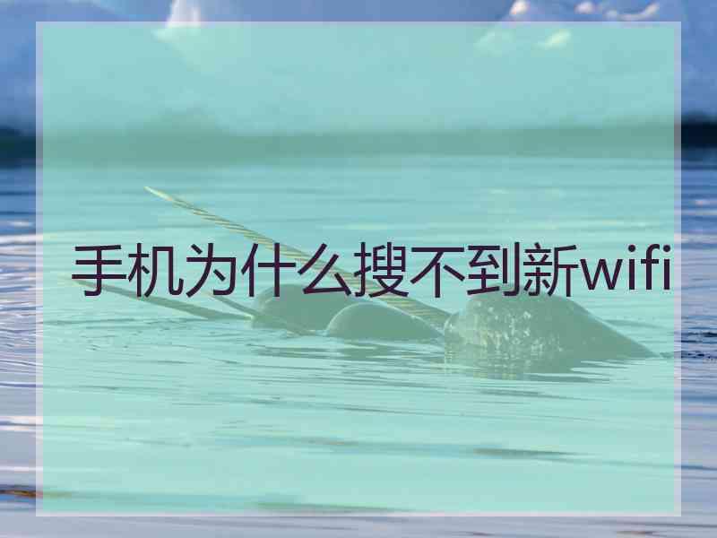 手机为什么搜不到新wifi