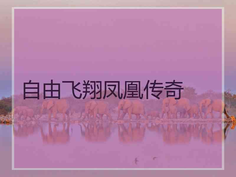 自由飞翔凤凰传奇