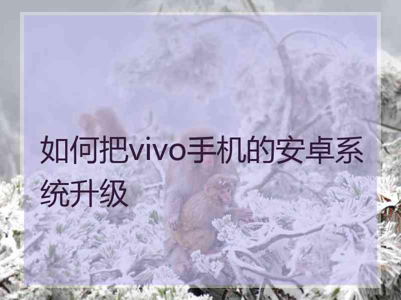 如何把vivo手机的安卓系统升级