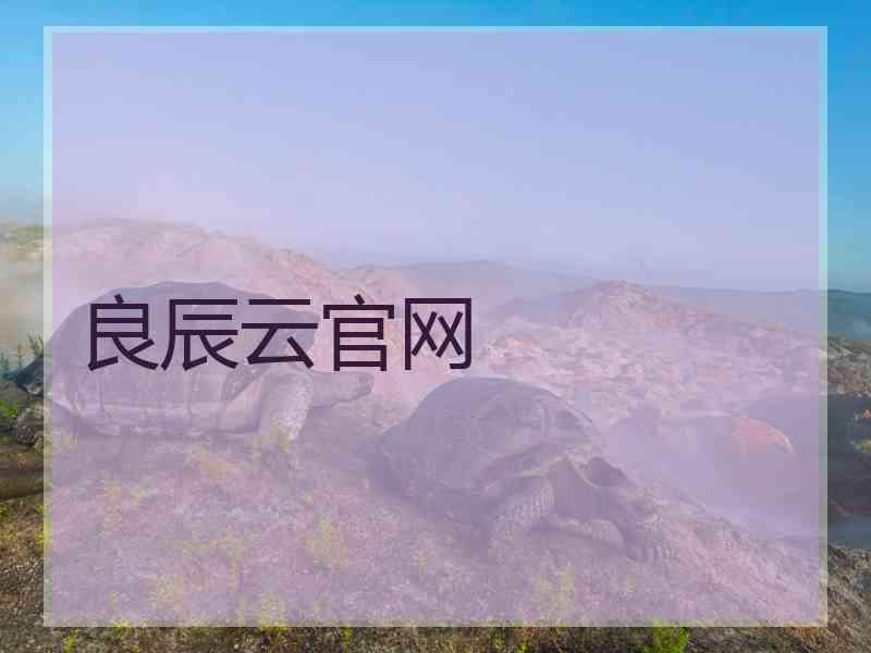 良辰云官网
