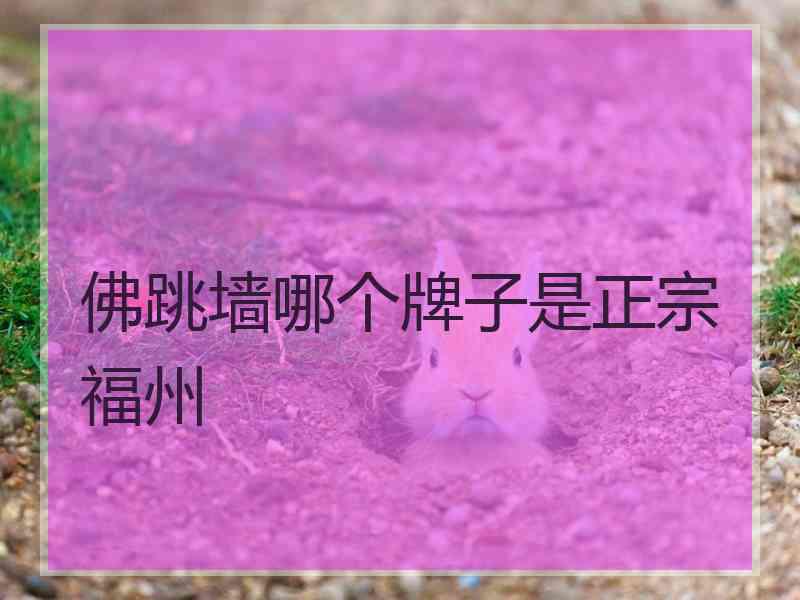 佛跳墙哪个牌子是正宗福州
