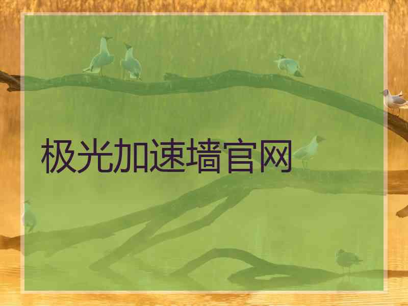 极光加速墙官网