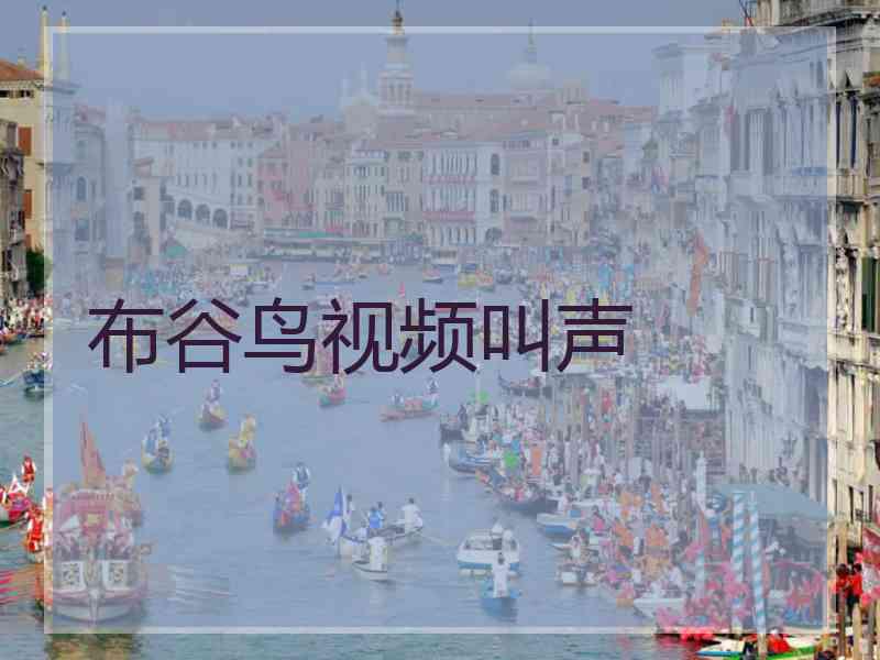 布谷鸟视频叫声
