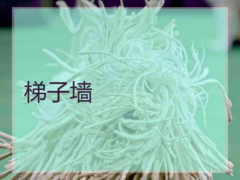 梯子墙