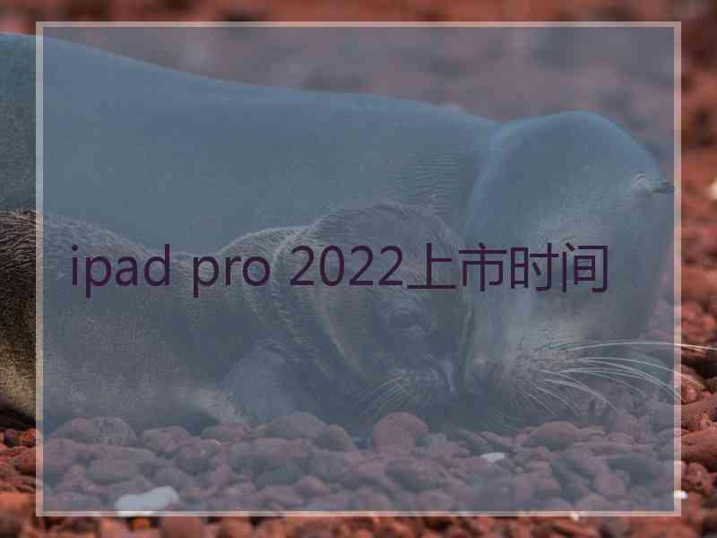 ipad pro 2022上市时间