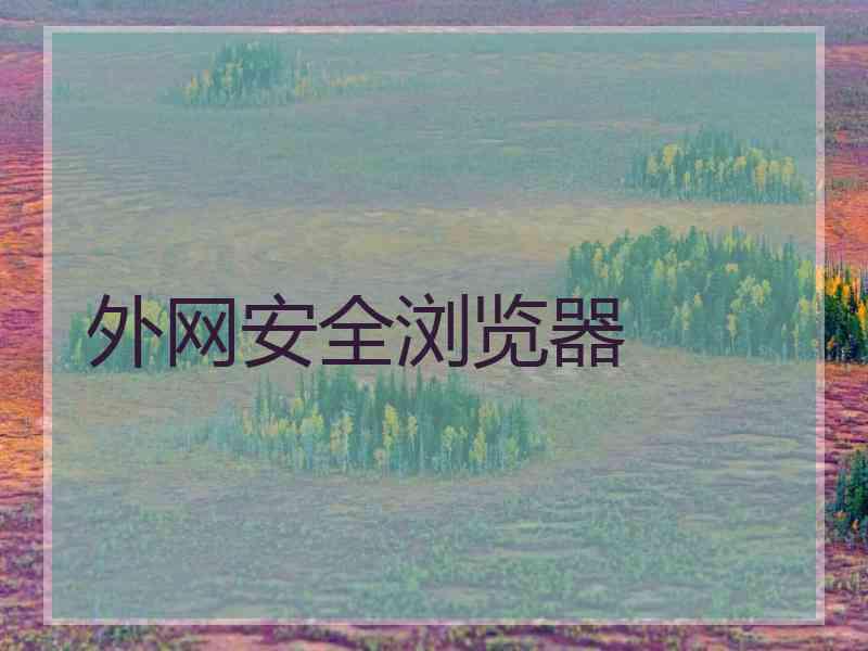 外网安全浏览器