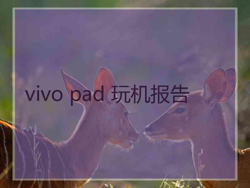 vivo pad 玩机报告