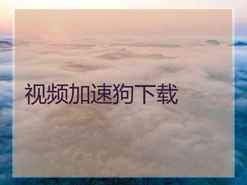视频加速狗下载