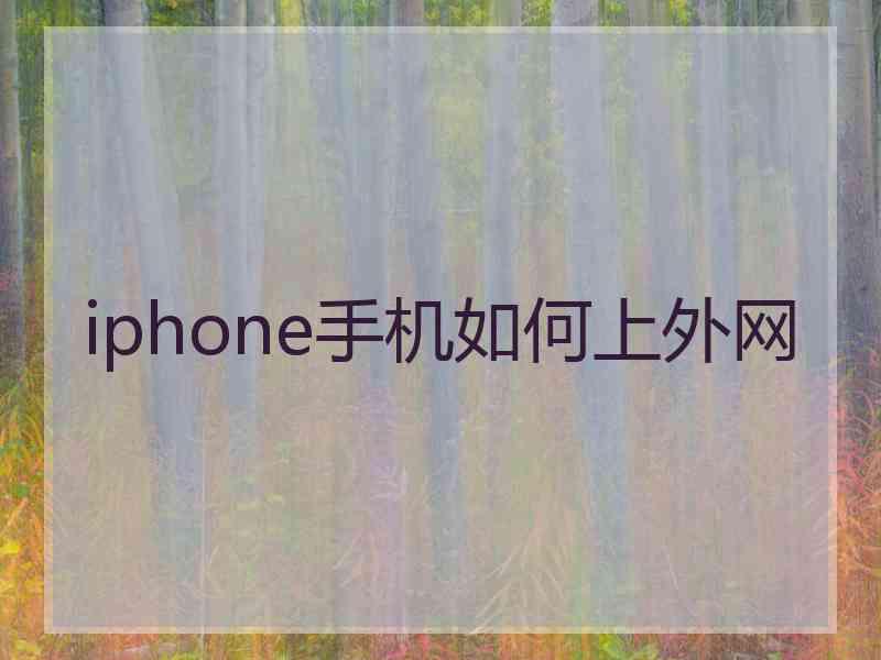 iphone手机如何上外网