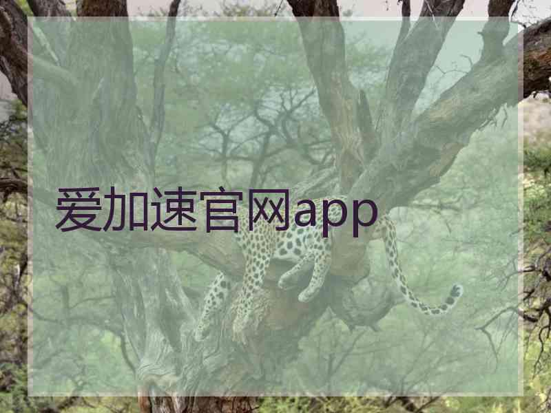 爱加速官网app