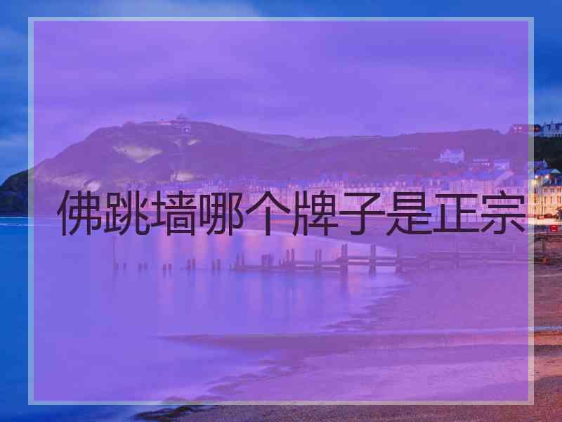 佛跳墙哪个牌子是正宗