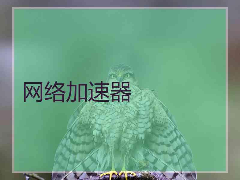 网络加速器