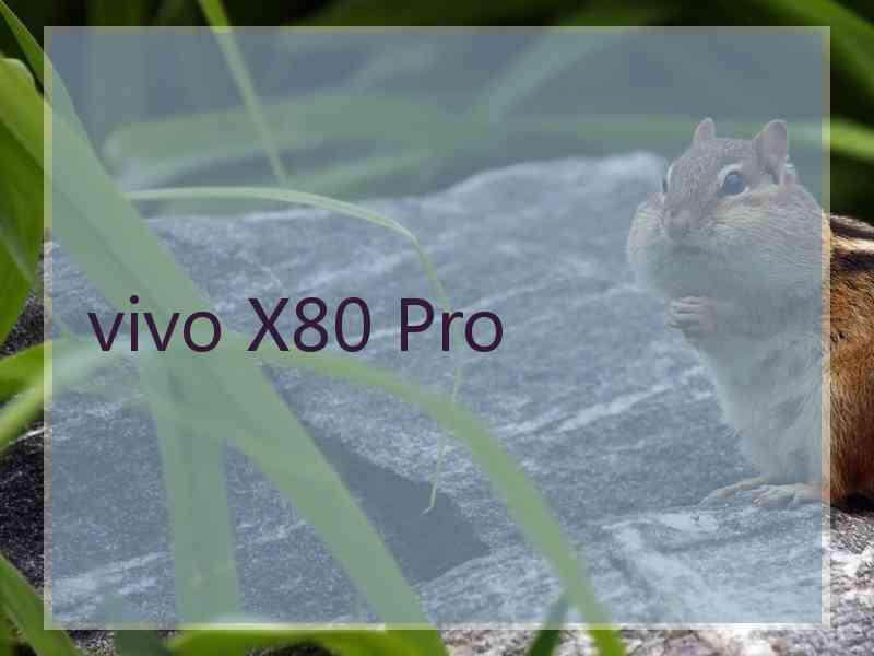 vivo X80 Pro