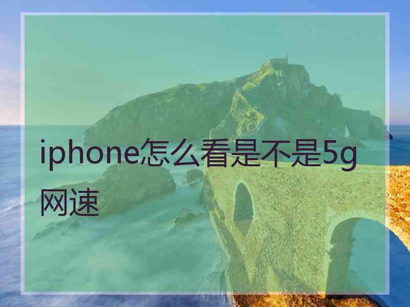 iphone怎么看是不是5g网速