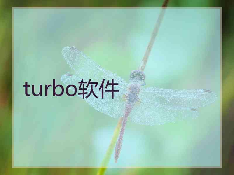 turbo软件