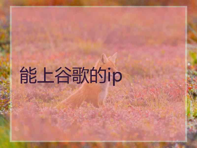 能上谷歌的ip