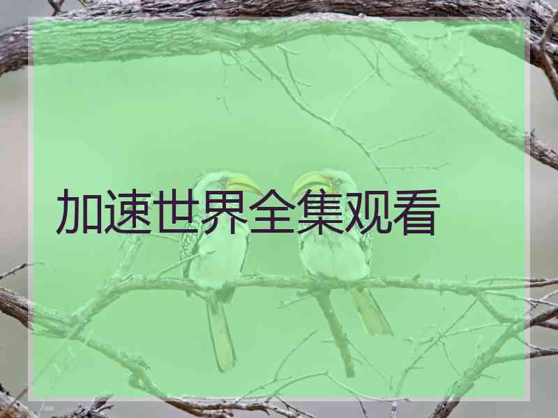 加速世界全集观看