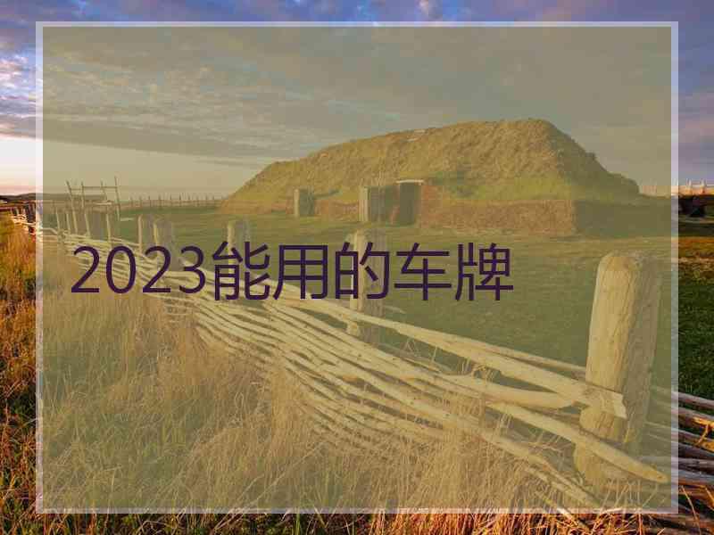 2023能用的车牌