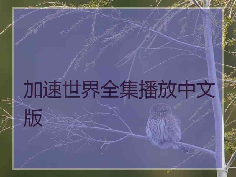 加速世界全集播放中文版