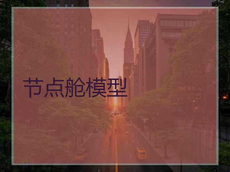 节点舱模型