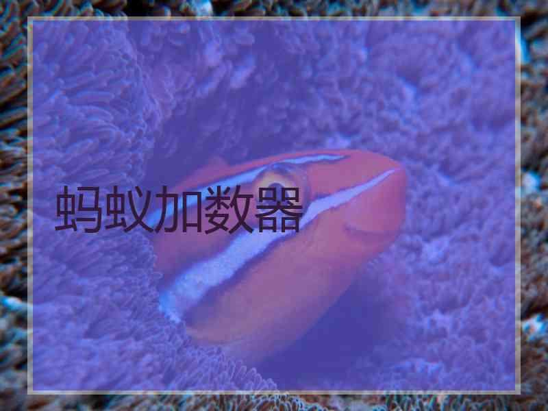蚂蚁加数器