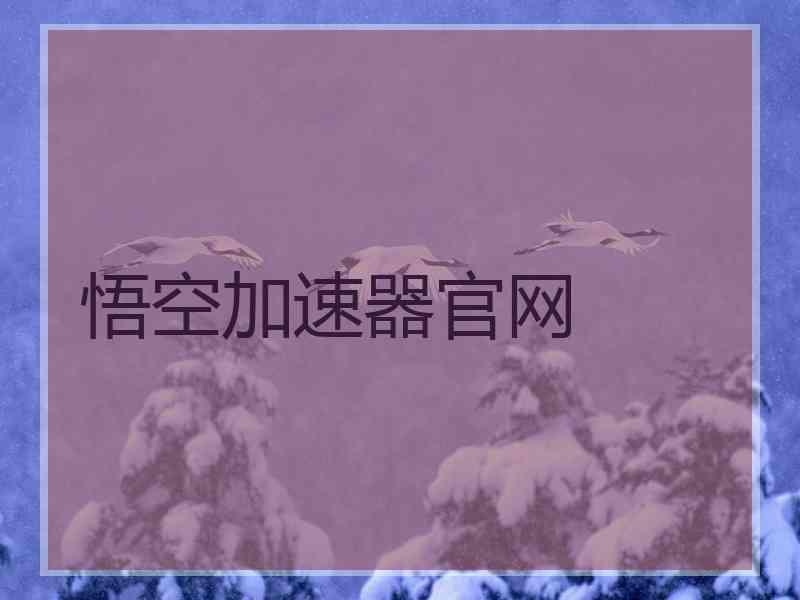 悟空加速器官网