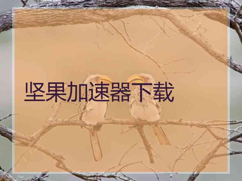 坚果加速器下载
