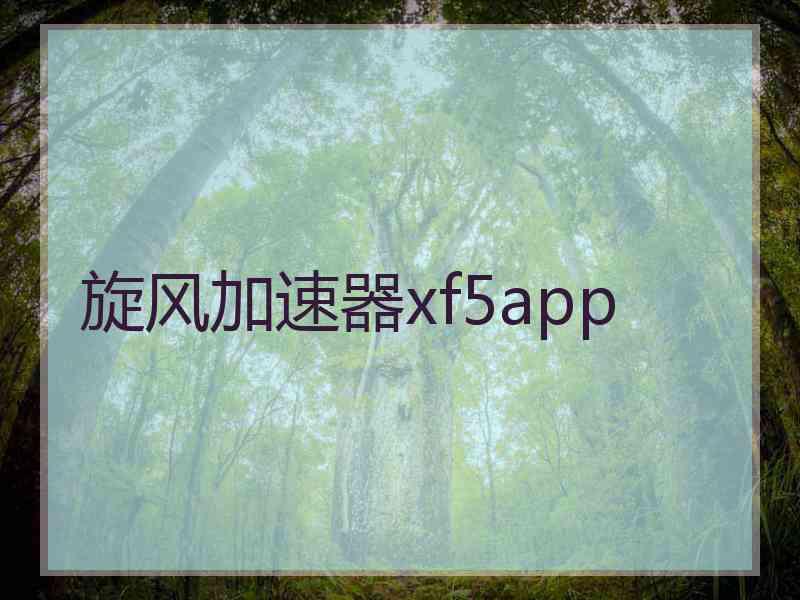 旋风加速器xf5app