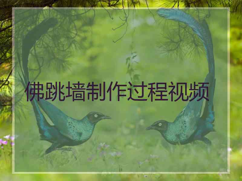 佛跳墙制作过程视频