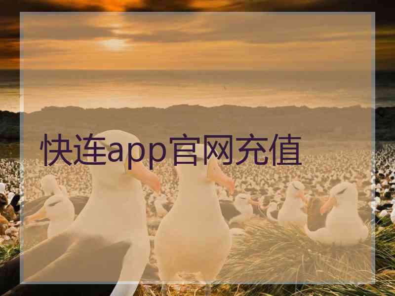 快连app官网充值