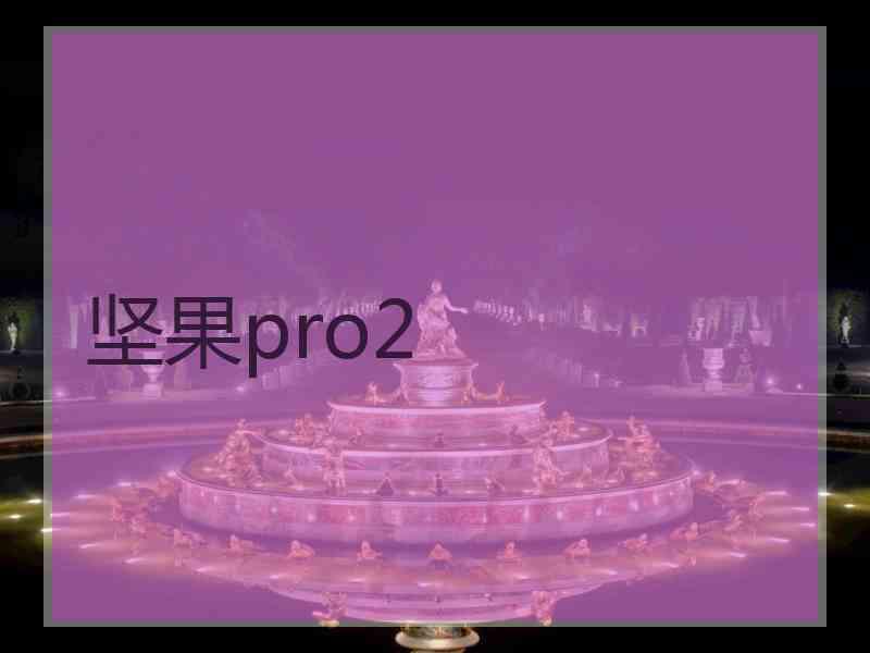 坚果pro2