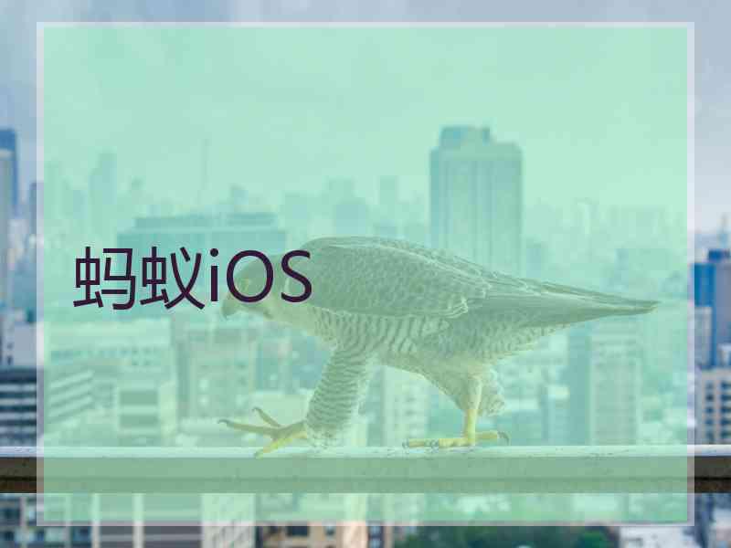蚂蚁iOS